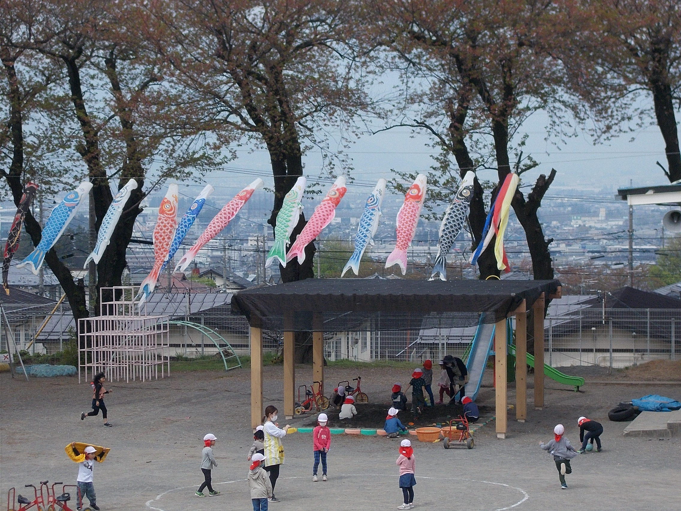 園の様子