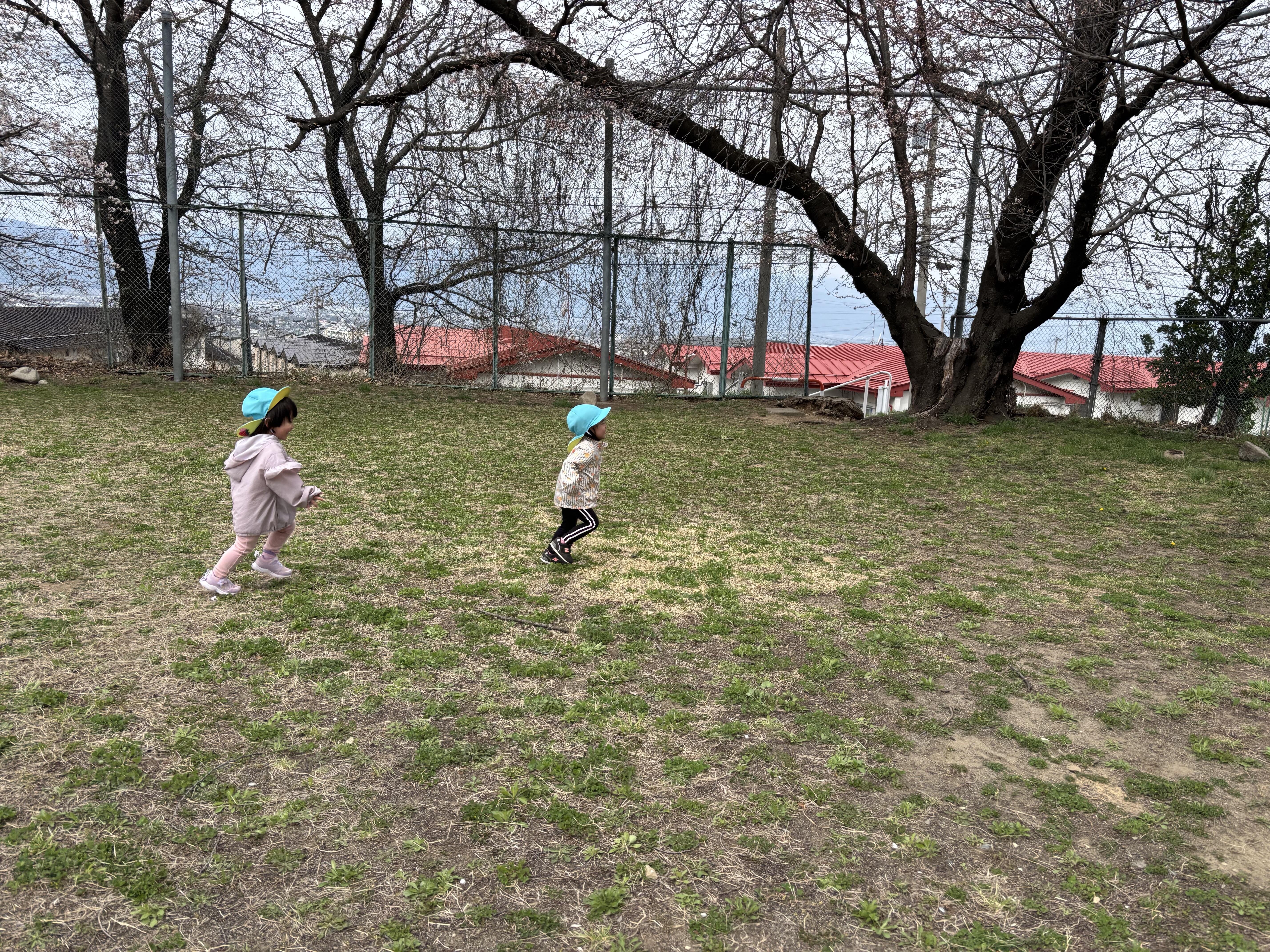 IMG_9940.JPG