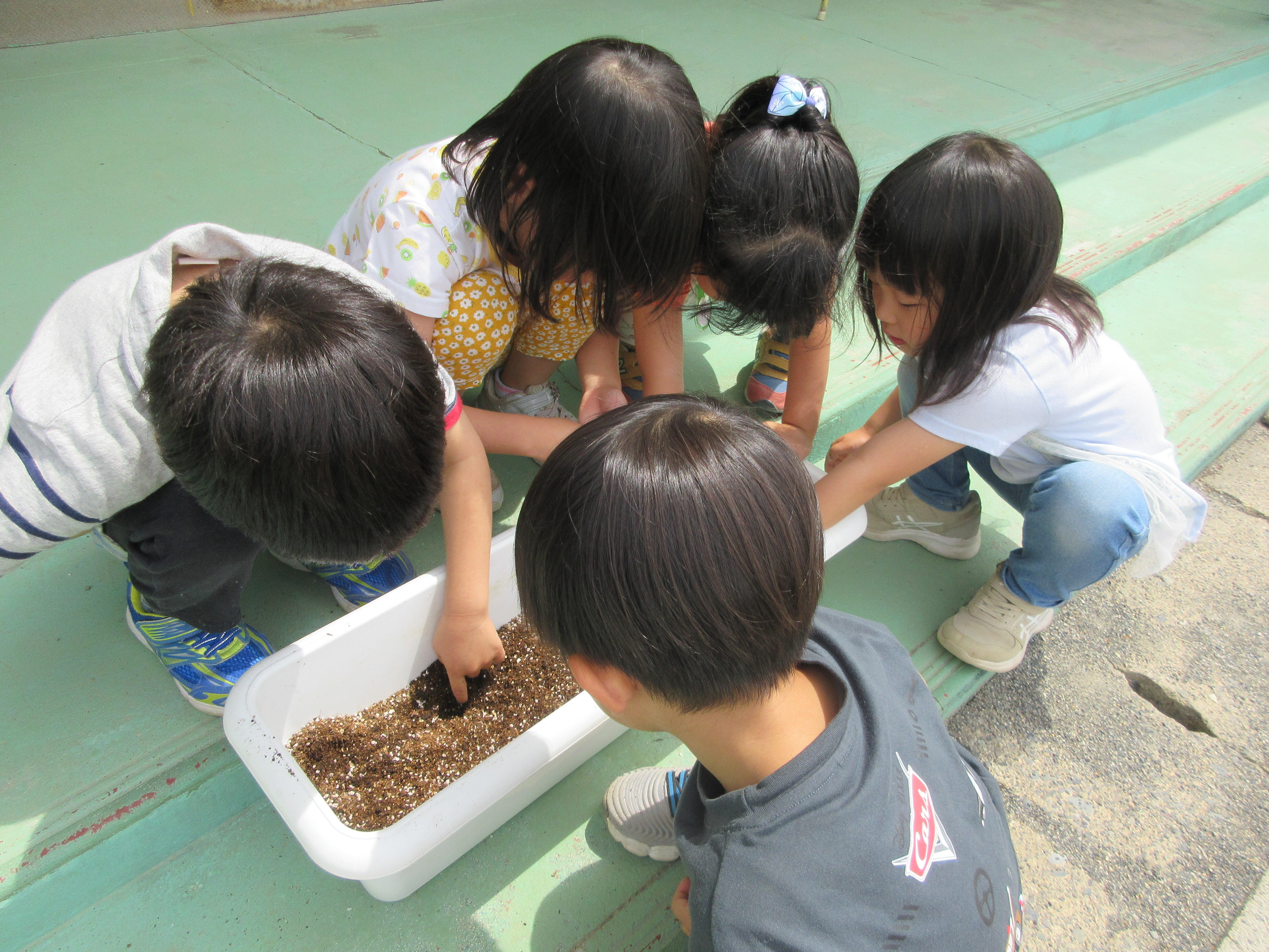 園の様子